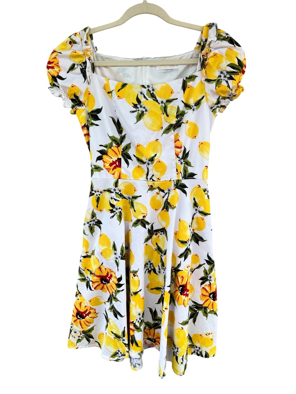 Hanpce’irs Retro Lemon/Floral Dress : Ruffle trim : Small puff Sleeve Size M
